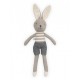 CONILL GRIS JOLLEIN