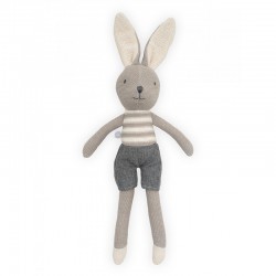 CONILL GRIS JOLLEIN