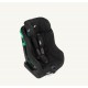 JOIE STEADI R129