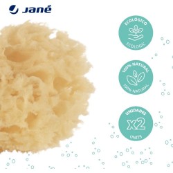 Pack esponges Jané